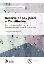 Libro Reserva De Ley Penal Y Constitucion Los Problemas D...