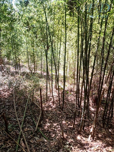 Imagem 3 de 7 de Terrenos À Venda Em Mairiporã/sp - Compre O Seu Terrenos Aqui! - 1496299