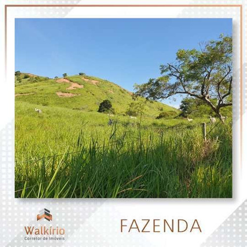 Imagem 3 de 22 de Fazenda, Corrego Preto, Governador Valadares - R$ 3.5 Mi, Cod: 345 - V345