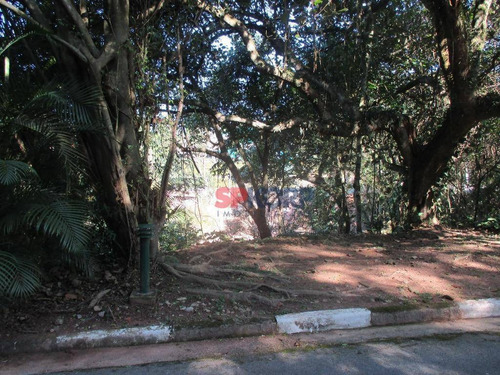 Imagem 5 de 7 de Terreno Residencial À Venda, Vila De São Fernando, Cotia - Te0891. - Te0891