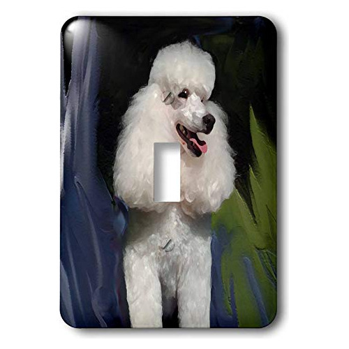 Poodle Miniatura