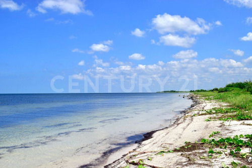 Terreno En Venta Chabihau, Yobain Yucatan