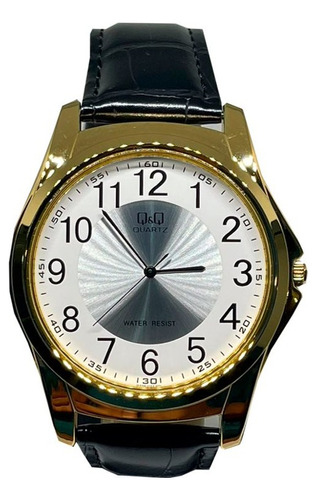 Reloj Q&q Hombre Q22a-500py Correa Negro Color del fondo Plateado q206j104y