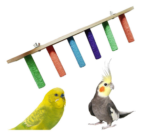 Perca De Parrot Perca Calreca Lentadora Fácil 6 Nivel