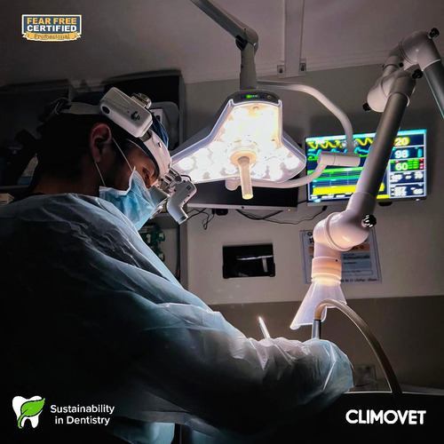 Servicio De Odontología Veterinaria