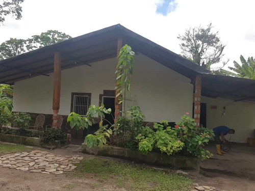 Imagen 10 de 15 de Se Vende Finca En Caripe-monagas Ve01-0435ca-lriv