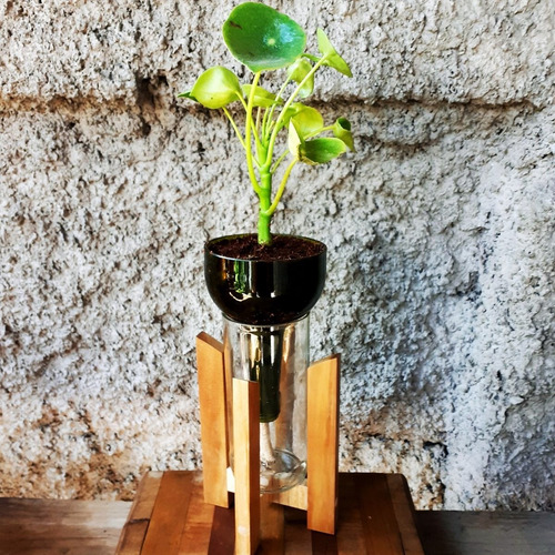 Cuchara Little Plant 24 Con Soporte, Maceta Autorregante