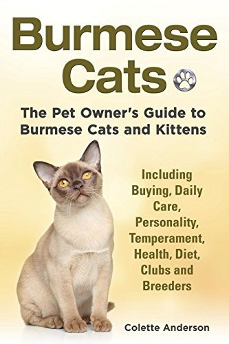 Gatos Burmeses La Guia De Los Duenos De Mascotas Para Gatos 