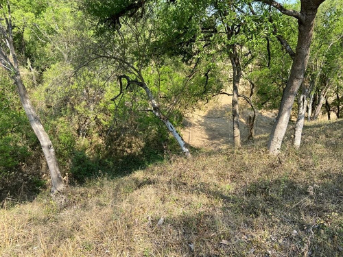 Imagen 5 de 6 de Terreno En Venta En Los Cavazos En Santiago