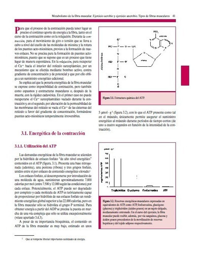 Fisiología Del Ejercicio Físico Y Del Entrenamiento (bicolor), De Barbany, J.., Vol. 1. Editorial Paidotribo, Tapa Blanda En Español, 2015