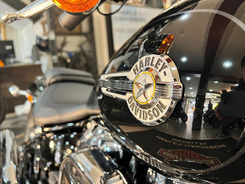 Imagen 4 de 10 de Harley-davidson Fatboy 114