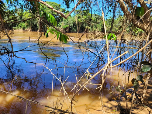 Imagem 9 de 30 de Chácara Em Centro, Martinho Campos/mg De 750m² 1 Quartos À Venda Por R$ 60.000,00 - Ch2330369-s