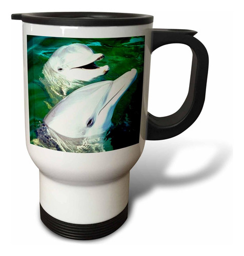 Taza De Viaje De Delfín De Botella 3drose, Acero Inoxidable