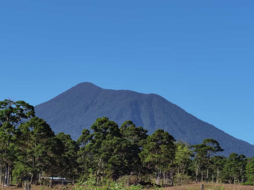 Imagen 17 de 18 de Quintas De 5000 M2 En Sarapiquí Con Y Sin Construcción Desde 25 Millones De Colones