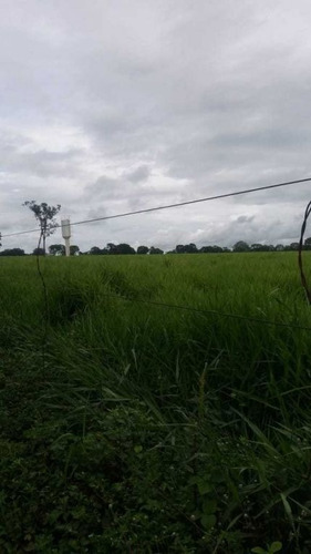 Imagem 4 de 25 de Fazenda Com 178 Hectares Rica Em Agua Em Felixlandia Mg - 36425