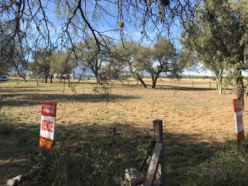 Imagen 6 de 14 de Lote Solares Del Valle