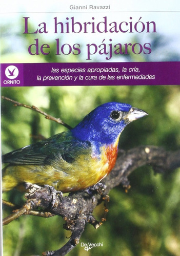 Ravazzi: La Hibridación De Los Pájaros