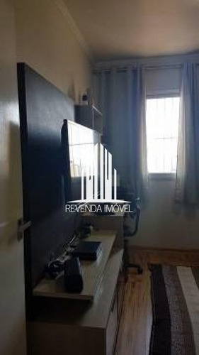 Imagem 5 de 15 de Apartamento Cobertura 3 Dorm, Á Venda Edifício Valle Del Molise - Br18677