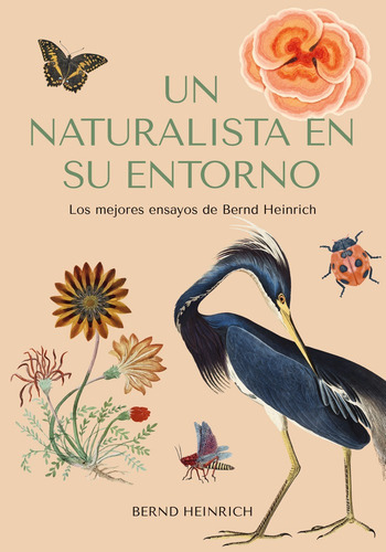 Un Naturalista En Su Entorno: Los Mejores Ensayos De Bernd Heinrich, De Heinrich, Bernd., Vol. 1. Editorial Editorial Carbrame, Tapa Blanda En Español