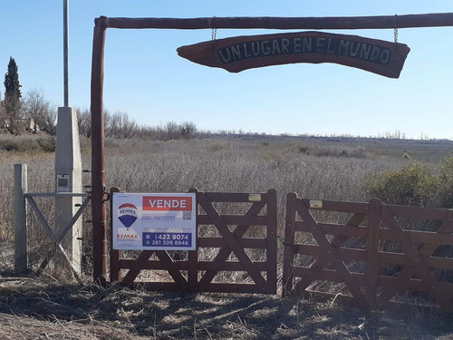 Imagen 1 de 24 de Predio Urbano/rural S. Rafael Las Malvinas Mendoza