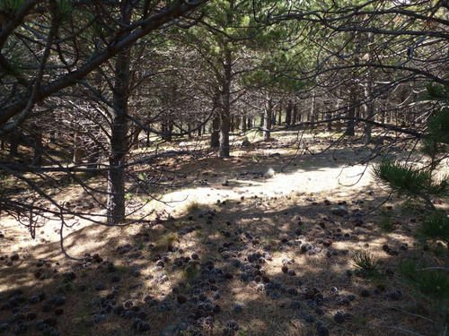 Imagen 10 de 10 de Lote En Venta ¨el Desafio¨