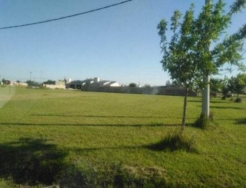 Imagen 3 de 4 de Terreno - Gobernador Crespo