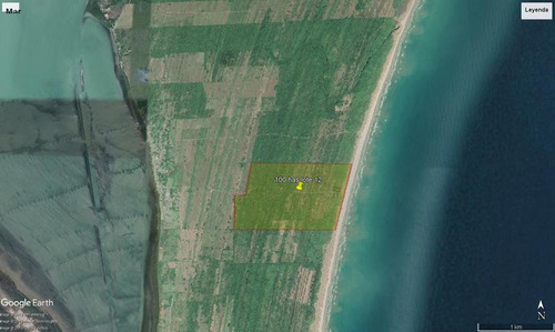 Venta Terreno 100 Hectareas Playa Tamiahua Veracruz