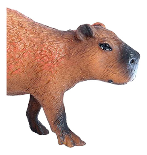 Modelo De Animales De Simulación Coleccionable Estilo A