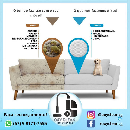 Imagem 4 de 4 de Limpeza E Higienização De Estofados (lavagem À Seco)