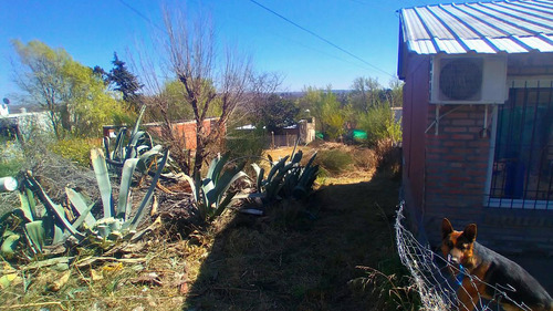 Terreno Sobre Calle Chañar A Una Cuadra De Ruta 38