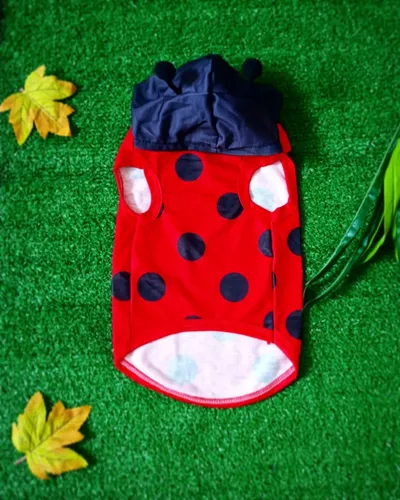 Accesorios Para Mascotas