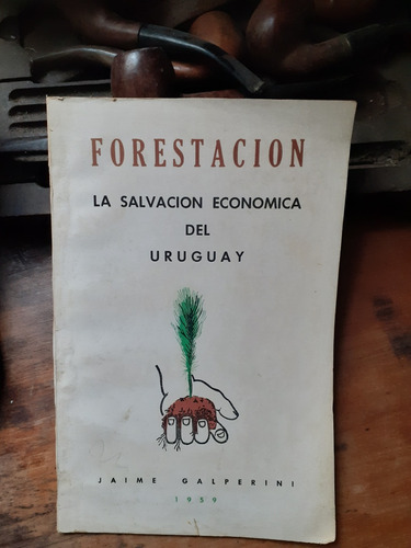 Forestación- La Salvación Económica Del Uruguay /galperini