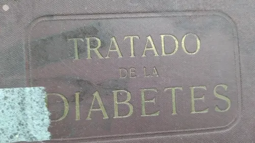 Tratado De La Diabetes Pedro Escudero (Usado)