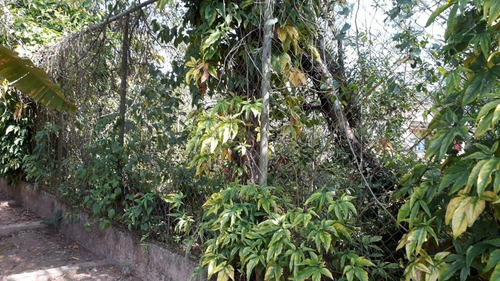 Imagem 16 de 24 de Chácara À Venda, 4900 M² Por R$ 1.400.000,00 - Buquirinha - São José Dos Campos/sp - Ch0079