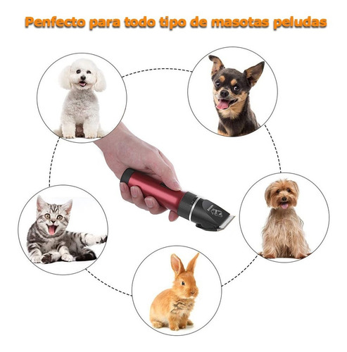 Kit De Maquina Cortadora Pelo Mascotas Usb Recargable.