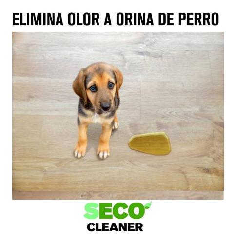 Elimina Olor 5 L Hri Grasa Nicotina Comida Vomito
