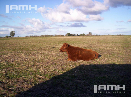 Campo - General Madariaga Campo En Venta 90 Hectáreas Gral Madariaga