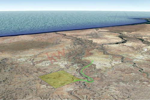 Terreno De 1,000 Ha En Km 97 Carretera A C.constitucion Con Ojo De Agua B.c.s.