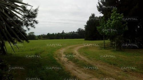 Espectacular Chacra En Venta En Manantiales -ref:30431