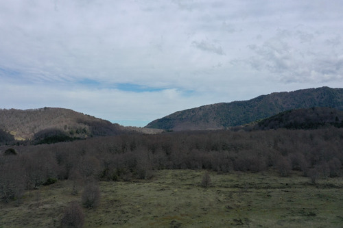 Terreno De Excelente Plusvalía - A 2,3 Km De Malalcahuello
