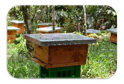 Imagen 5 de 9 de Miel De Abeja 100% Pura Y Silvest - Unidad a $15000