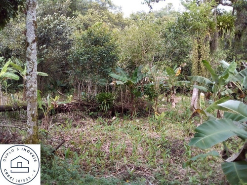 Imagem 7 de 16 de Chácara Em Itanhaém , Bairro Vergara , Isolada, Lado Morro - 6530 - 69937489