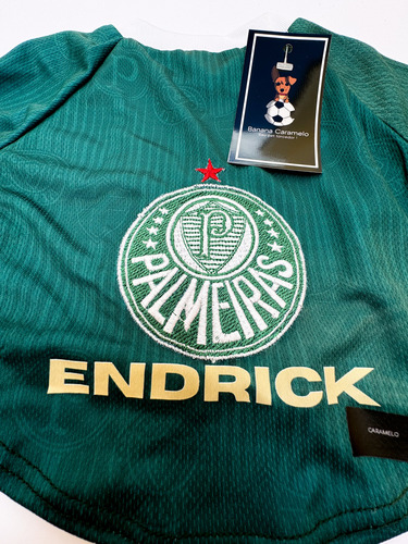 Roupa P/ Cachorro Palmeiras Verde - Endrick
