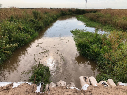 Campo En Santiago Del Estero Apto Para Explotación Ganadera (2200 Ha)