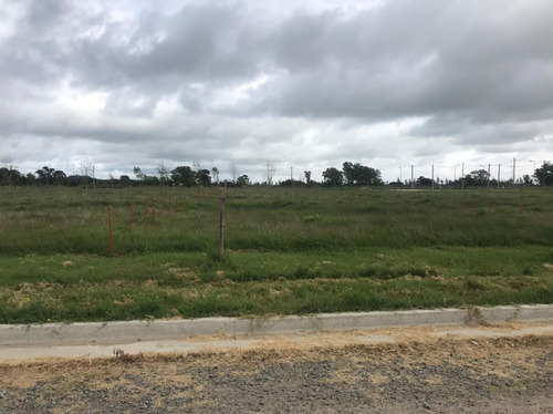 Imagen 2 de 3 de Terreno En Venta En City Bell