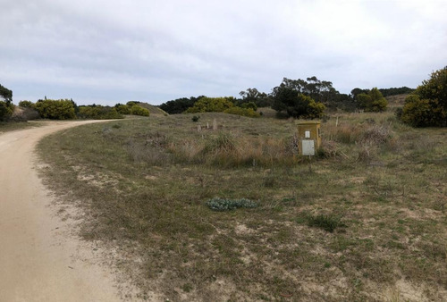 Lote Venta Punta Medanos 1224 Metros