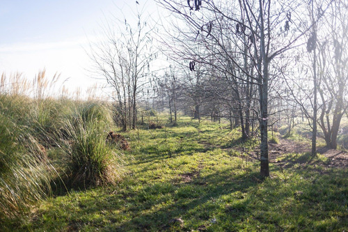 Campo En Venta En Pilar. Zona Champagnat