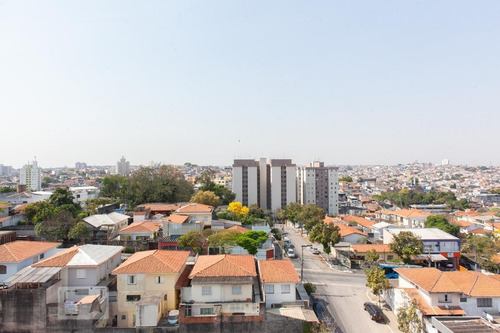 Apartamento À Venda - Vila Campestre, 2 Quartos, 53 - S892964024