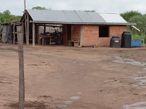Campo Sobre Ruta