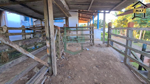 Imagem 11 de 15 de Fazenda Para Venda Em Ubaitaba, Zona Rural - 735_1-2090601